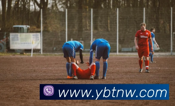 奖项证书